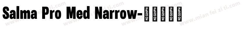 Salma Pro Med Narrow字体转换
